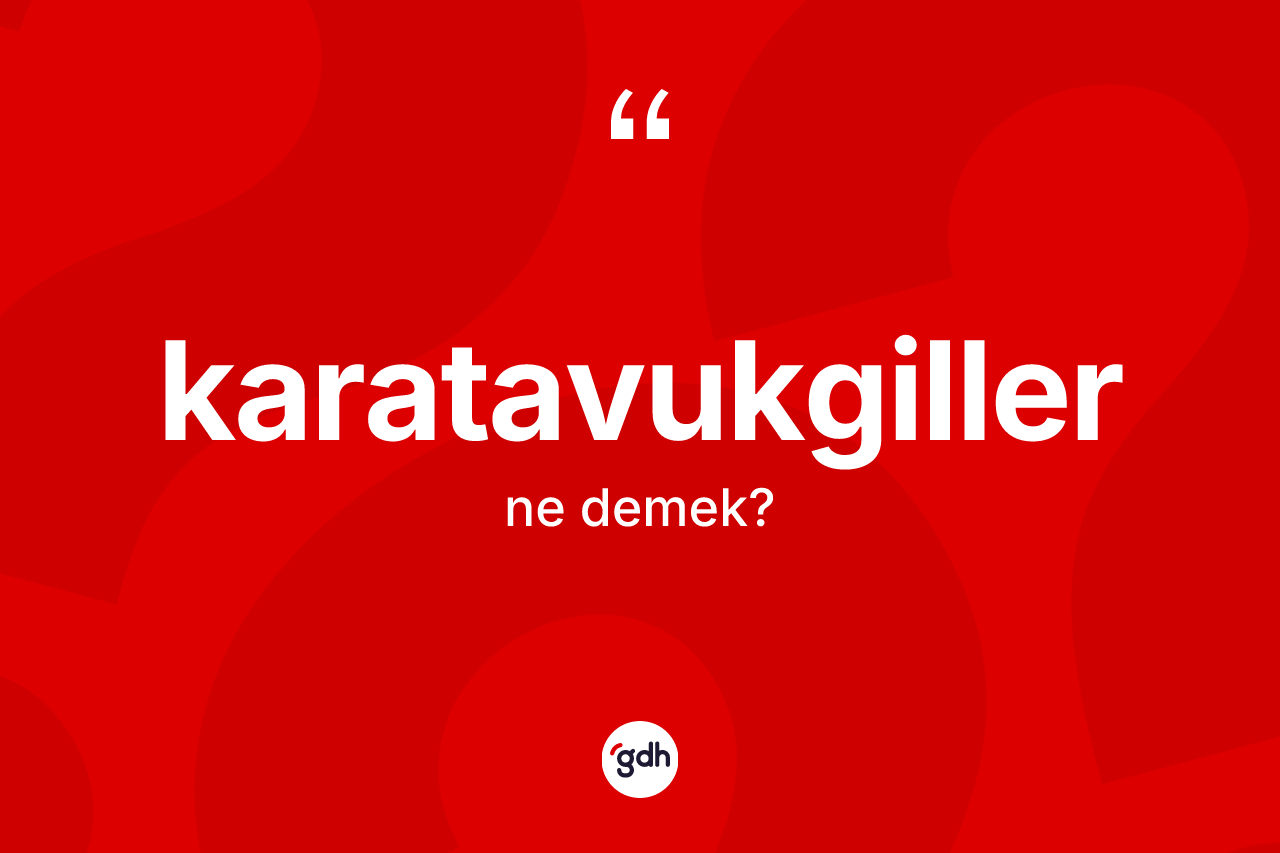 Karatavukgiller ne anlama gelir?