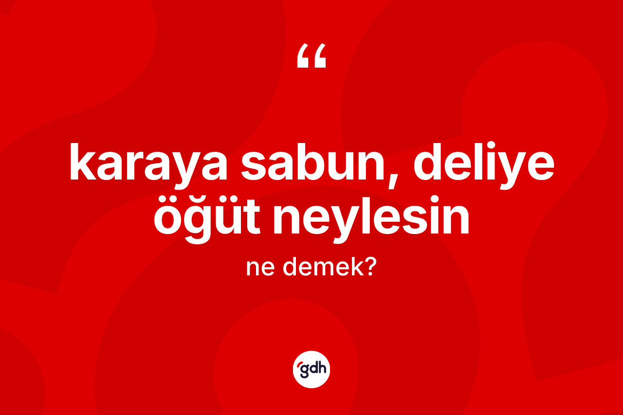 Karaya sabun, deliye öğüt neylesin ne demek? Karaya sabun, deliye öğüt neylesin ifadesinin TDK anlamı nedir?