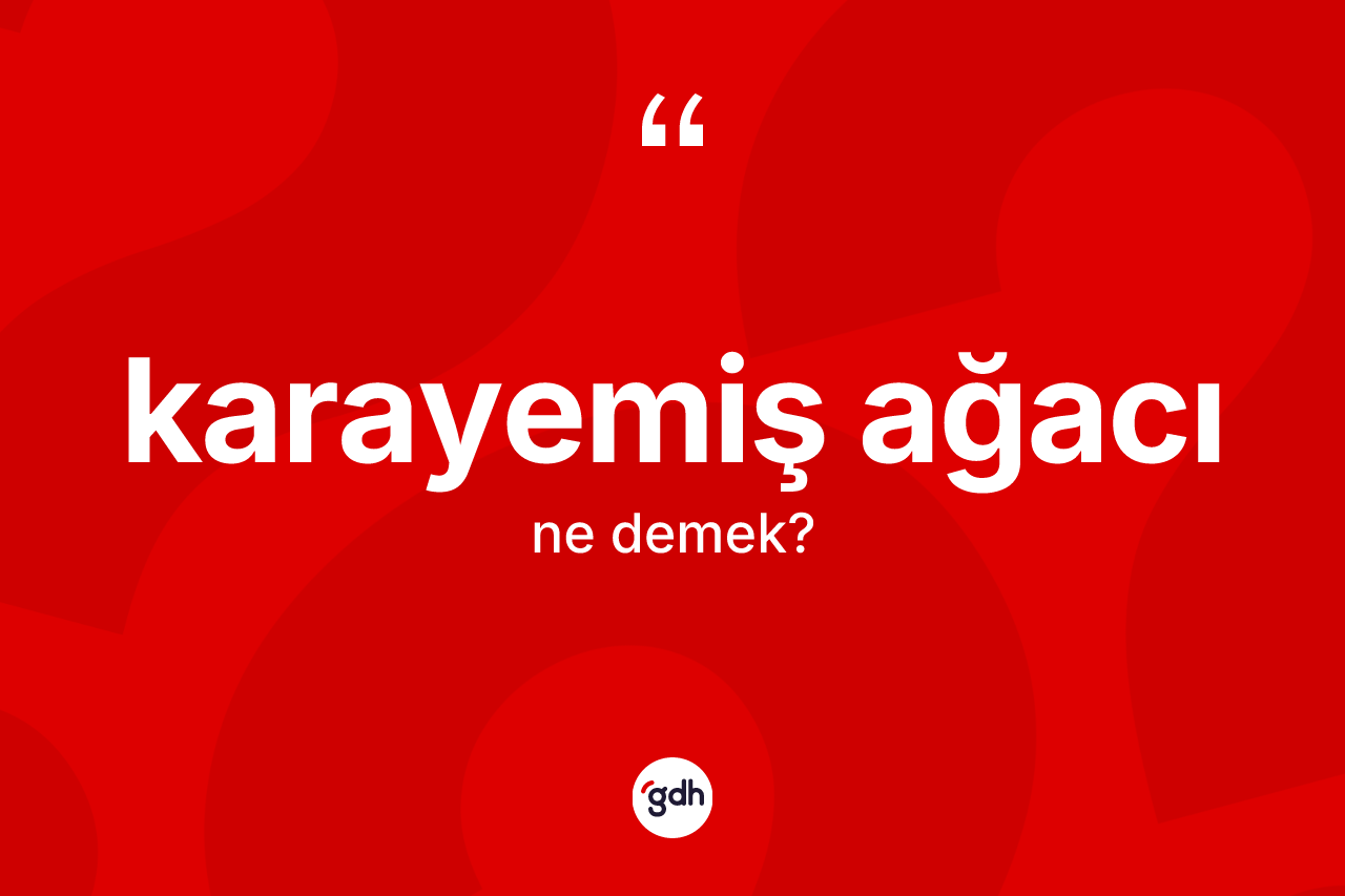 Karayemiş ağacı kelimesinin anlamı nedir? Karayemiş ağacı kelimesinin TDK anlamı nedir?