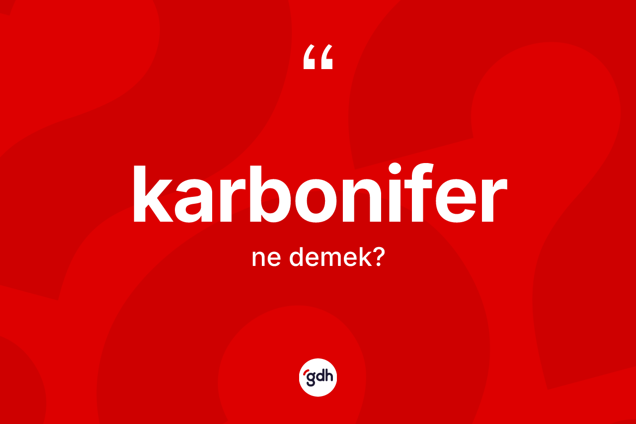 Karbonifer nedir? Karbonifer kelimesinin özellikleri nelerdir?