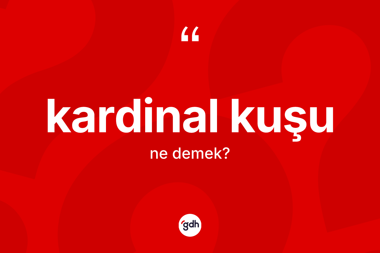 Kardinal kuşu ne anlama gelir? Kardinal kuşu kelimesinin kaç farklı anlamı var?