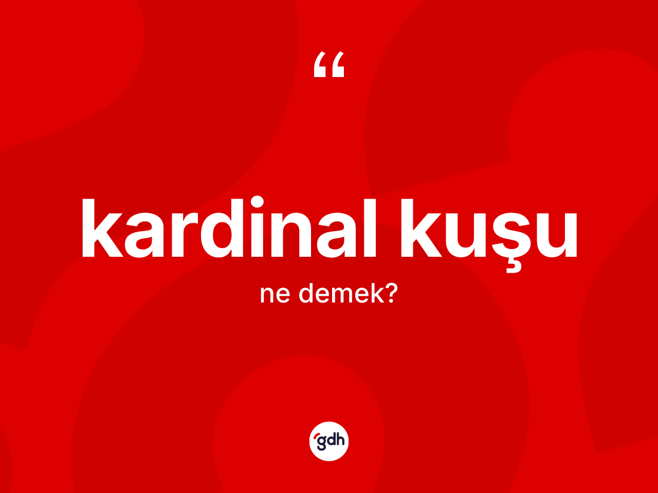 Kardinal kuşu ne anlama gelir? Kardinal kuşu kelimesinin kaç farklı anlamı var?