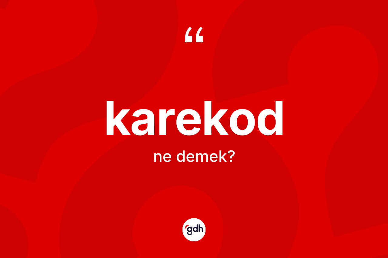 Karekod kelimesinin sözlükteki tanımı nedir?