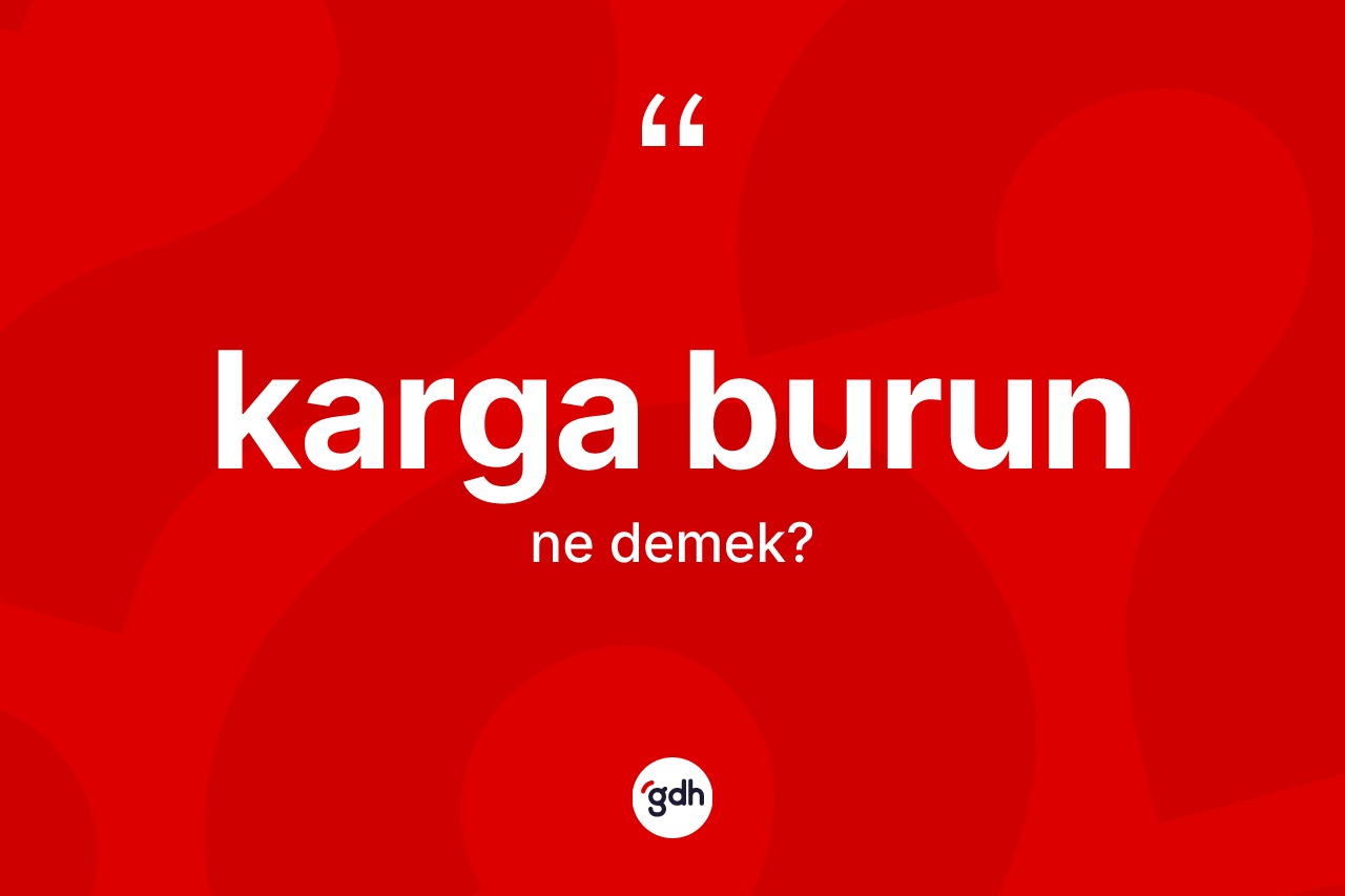 Karga burun kelimesinin tanımı nedir? Karga burunun TDK'ya göre anlamı nedir?