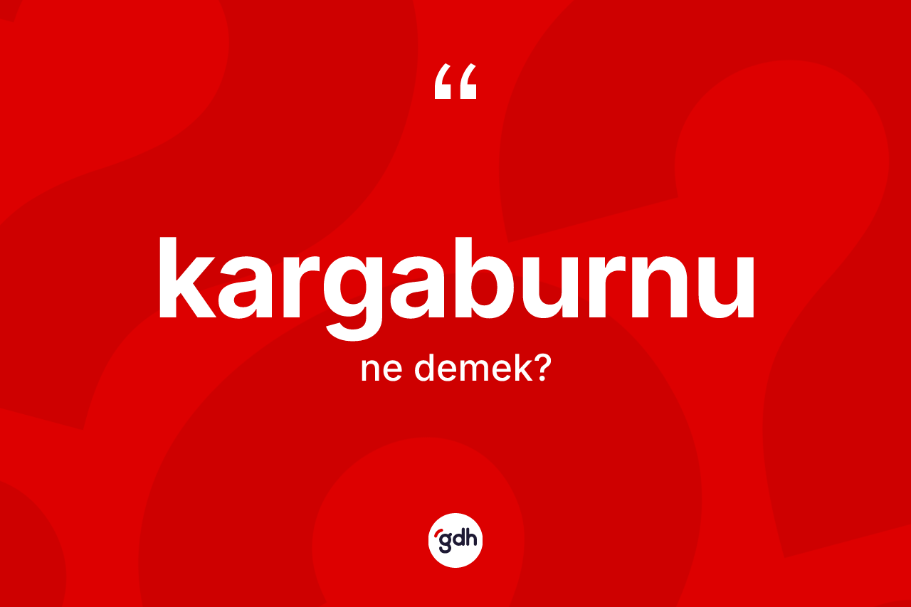 Kargaburnu nedir? Kargaburnu kelimesinin kaç farklı anlamı var?