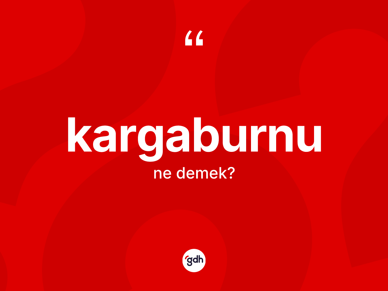 Kargaburnu nedir? Kargaburnu kelimesinin kaç farklı anlamı var?