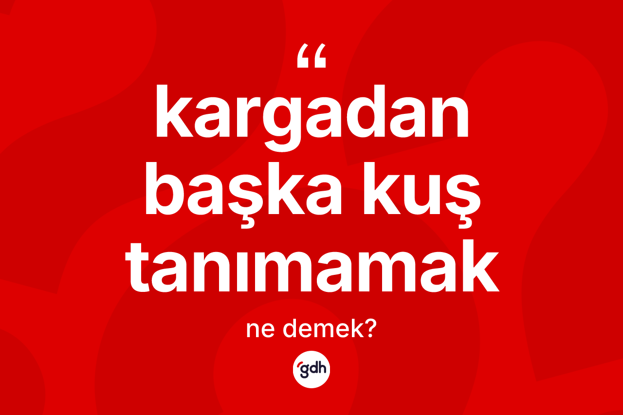 Kargadan başka kuş tanımamak sözü ne demek?