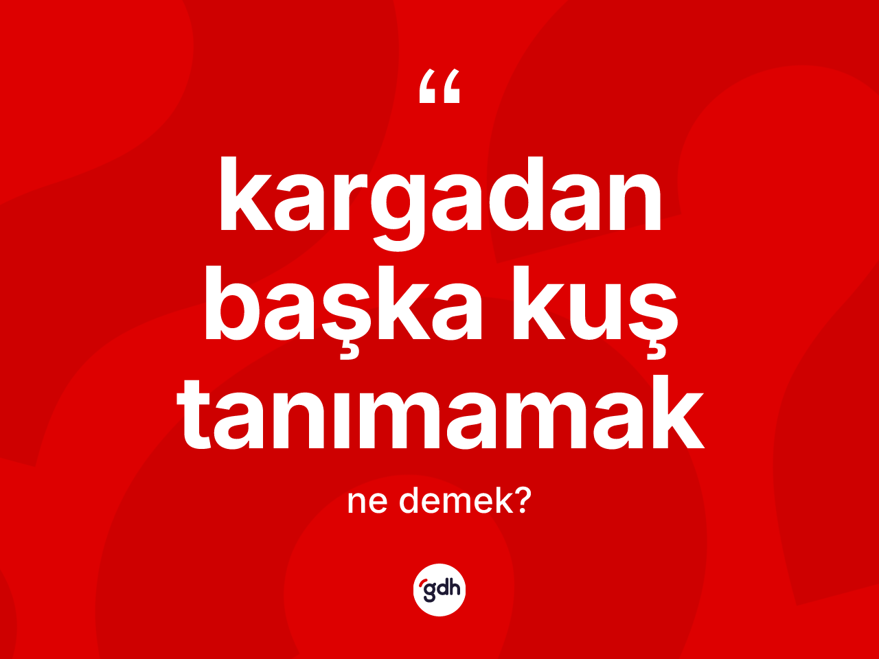 Kargadan başka kuş tanımamak sözü ne demek? Kargadan başka kuş tanımamak ifadesinin özellikleri nelerdir?