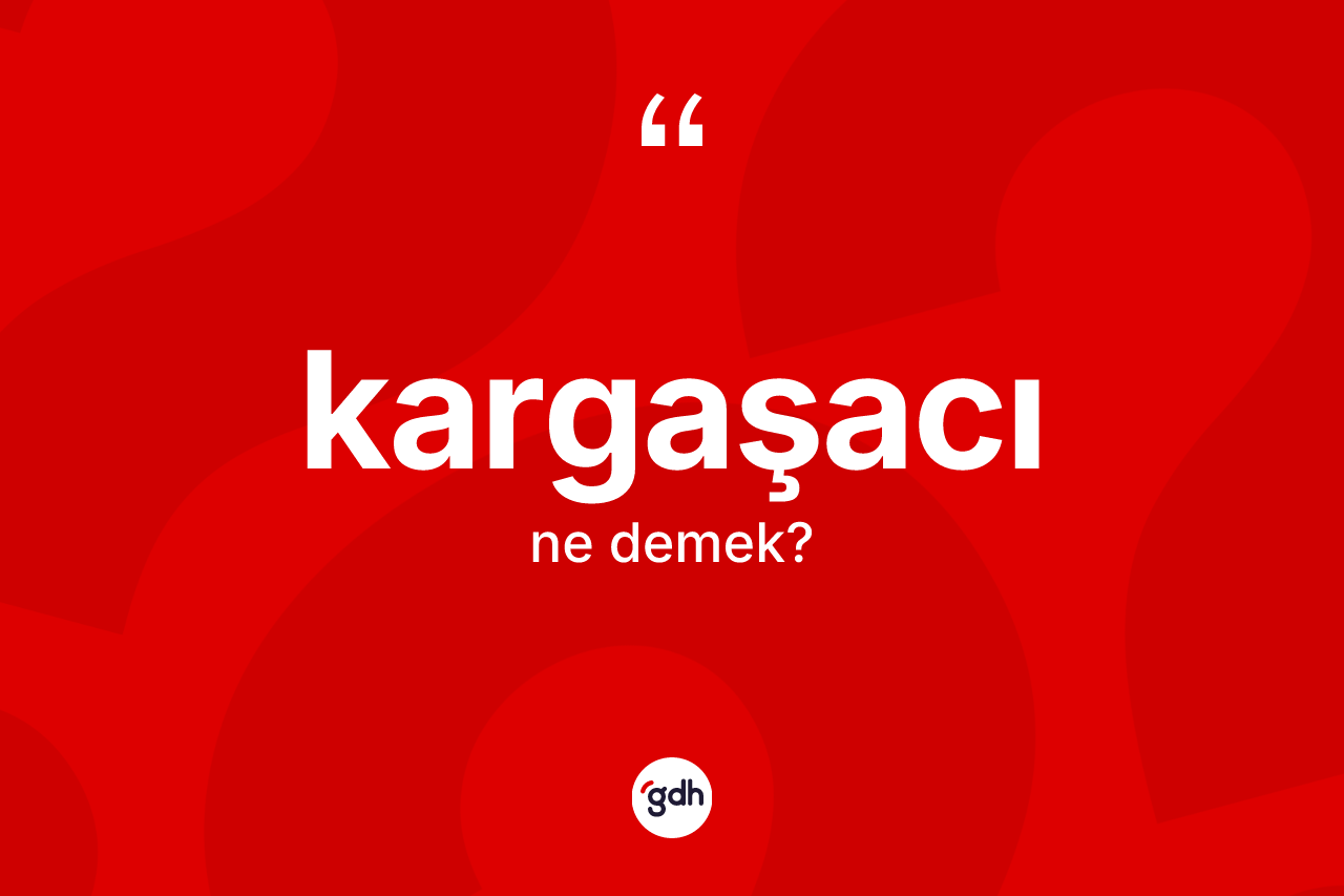 Kargaşacı kelimesi ne anlama gelir? Kargaşacının TDK'ya göre anlamı nedir?