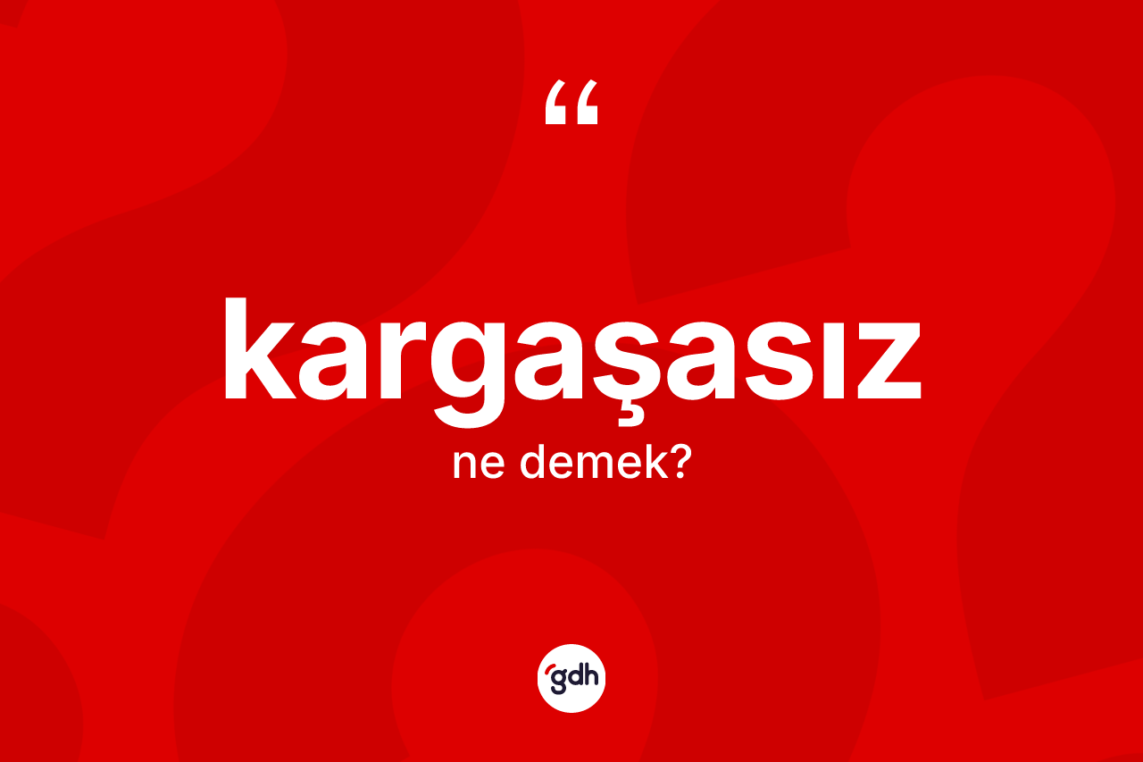 Kargaşasız kelimesinin tanımı nedir? Kargaşasız kelimesinin TDK'ya göre açıklaması nedir?