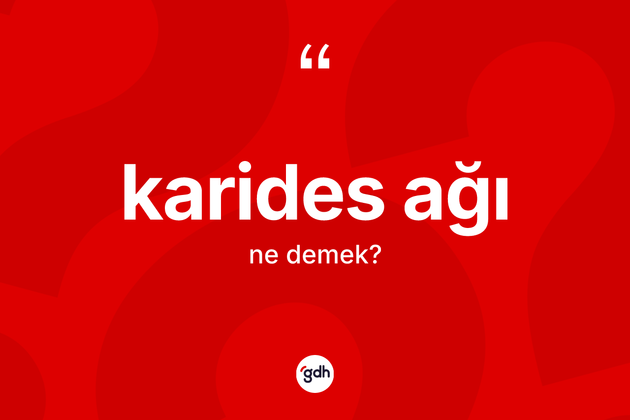 Karides ağı nedir? Karides ağının kısaca tanımı nedir?