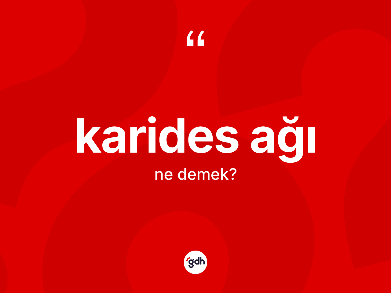 Karides ağı nedir? Karides ağının kısaca tanımı nedir?