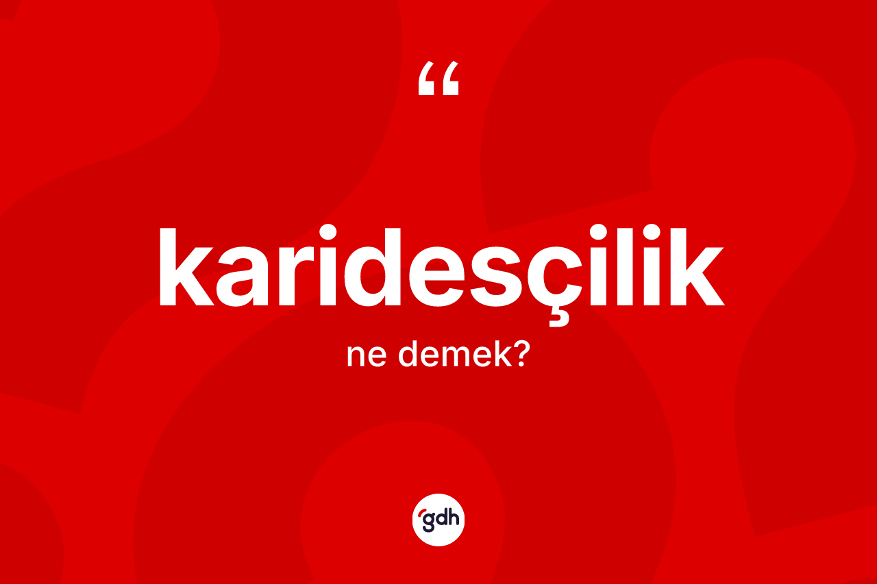Karidesçilik kelimesi ne demek? Karidesçilik kelimesinin TDK'ya göre açıklaması nedir?