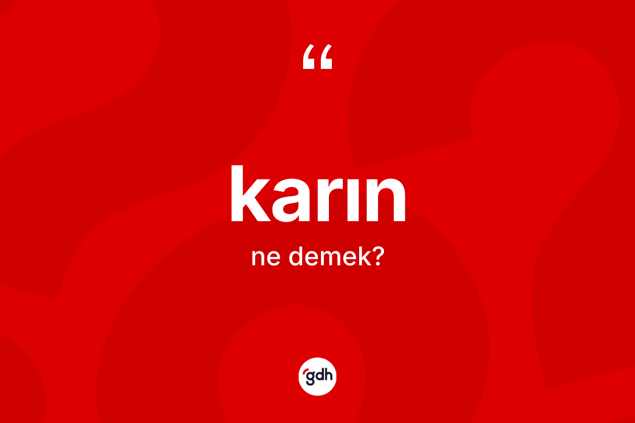 Karın ne demek? Karın kelimesinin özellikleri nelerdir?