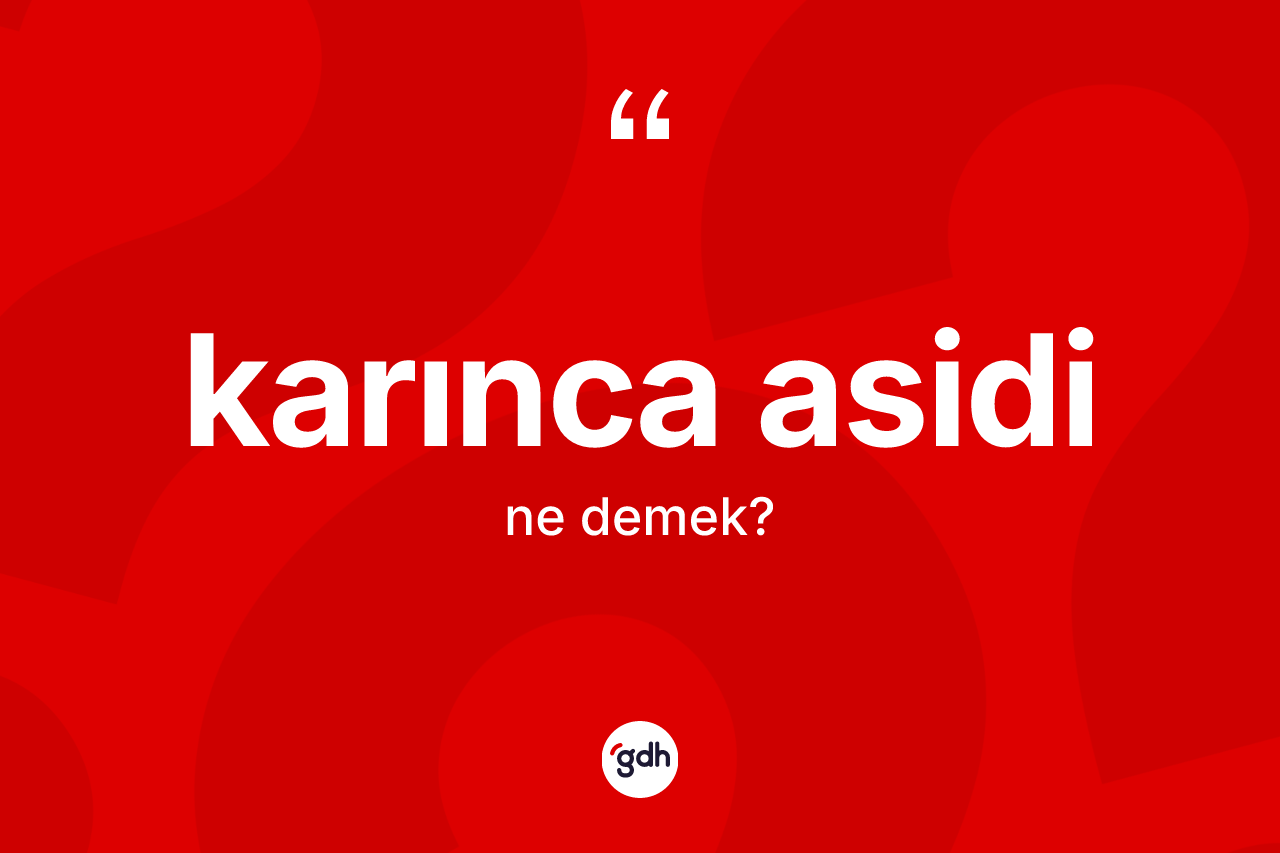 Karınca asidi kelimesinin sözlükteki tanımı nedir? Karınca asidinin kısaca tanımı nedir?