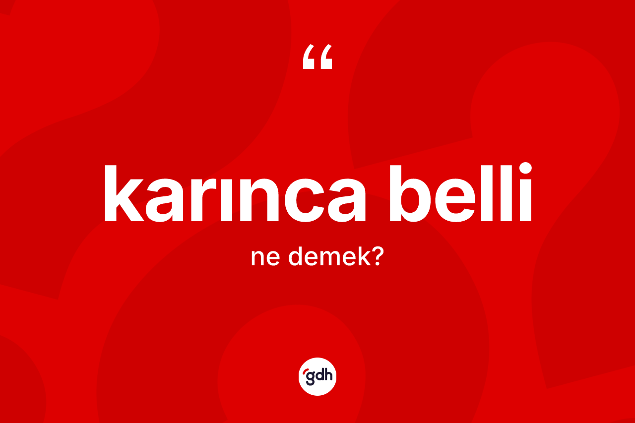 Karınca belli kelimesinin tanımı nedir? Karınca bellinin TDK'ya göre anlamı nedir?