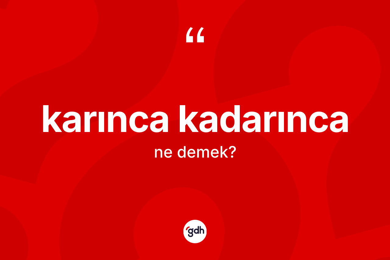 Karınca kadarınca ne anlama gelir? Karınca kadarıncanın sözlükteki anlamı nedir?