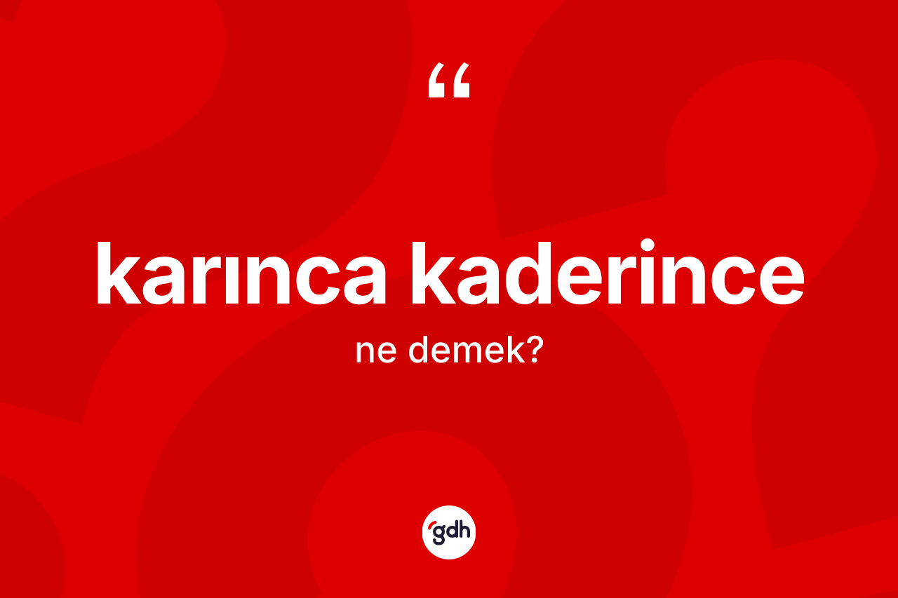 Karınca kaderince kelimesinin anlamı nedir? Karınca kaderincenin sözlükteki anlamı nedir?