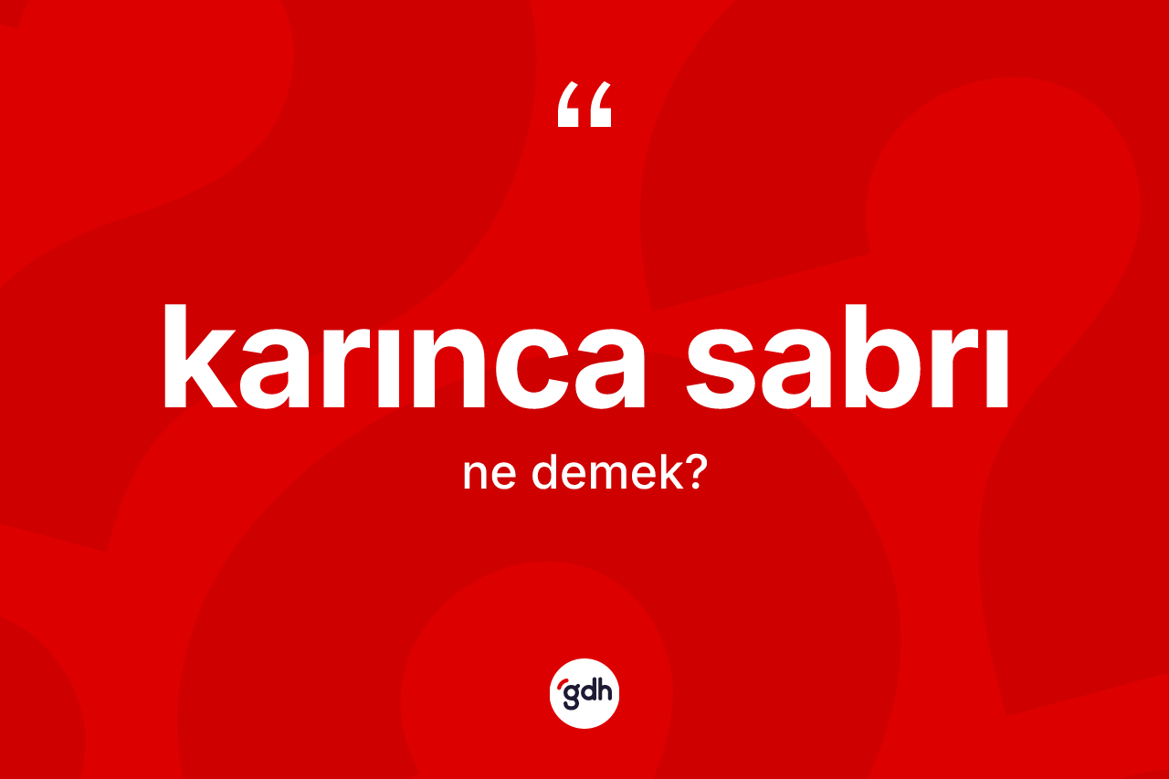 Karınca sabrı kelimesi nedir? Karınca sabrının halk arasındaki kullanımı nasıldır?