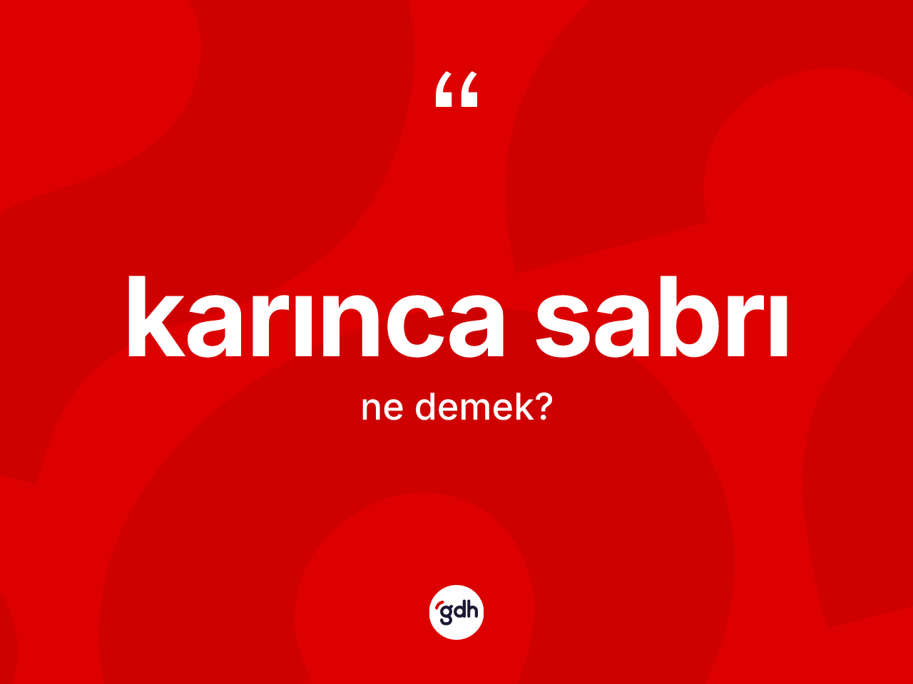 Karınca sabrı kelimesi nedir? Karınca sabrının halk arasındaki kullanımı nasıldır?