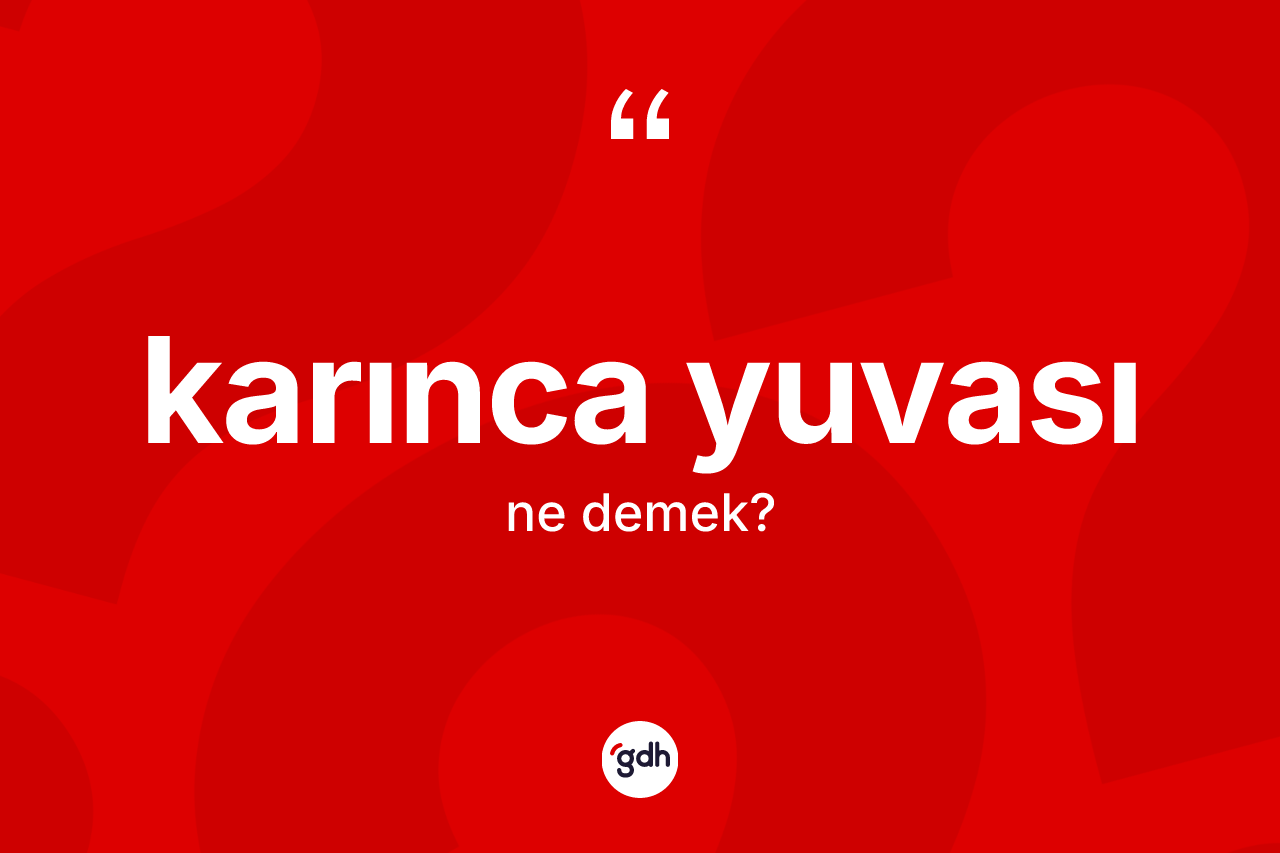 Karınca yuvası nedir? Karınca yuvası kelimesinin TDK anlamı nedir?