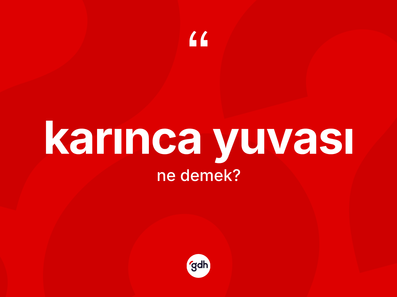 Karınca yuvası nedir? Karınca yuvası kelimesinin TDK anlamı nedir?