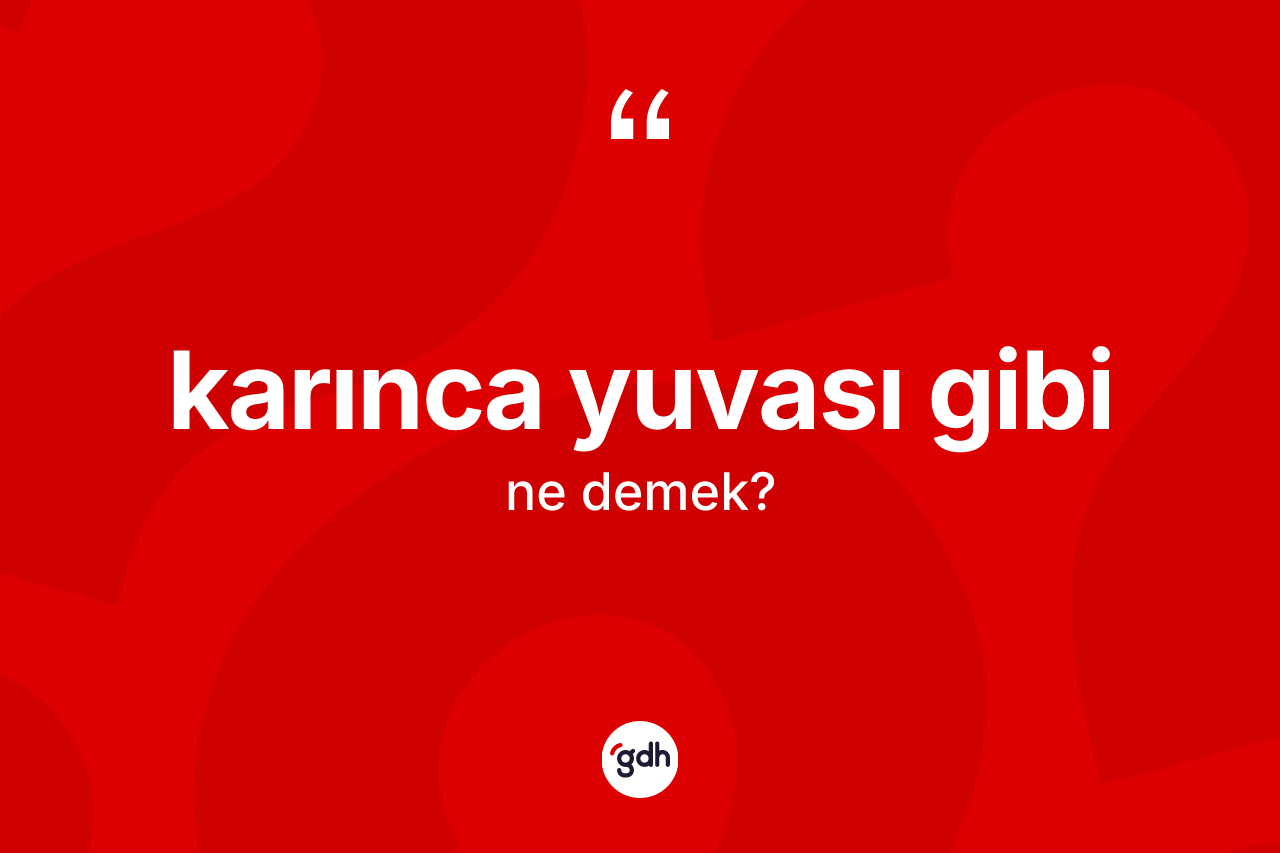 Karınca yuvası gibi ifadesinin tanımı nedir? Karınca yuvası gibi ifadesi nerede kullanılır?