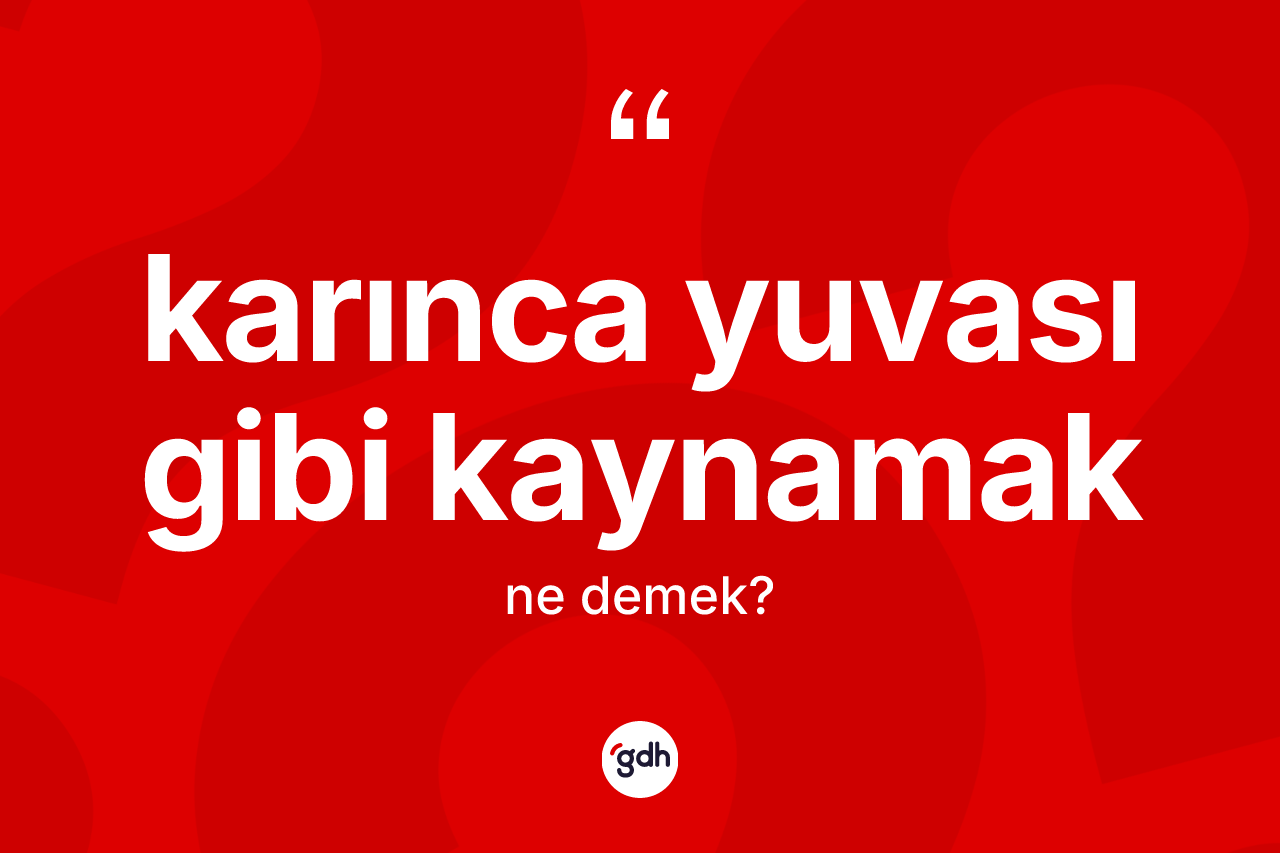 Karınca yuvası gibi kaynamak ne demektir? Karınca yuvası gibi kaynamak sözünün TDK tanımı nedir?