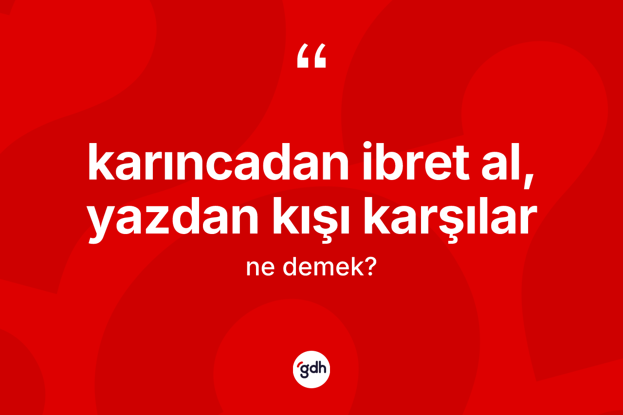 Karıncadan ibret al, yazdan kışı karşılar ifadesi ne demek? Karıncadan ibret al, yazdan kışı karşılar sözünün TDK anlamı nedir?