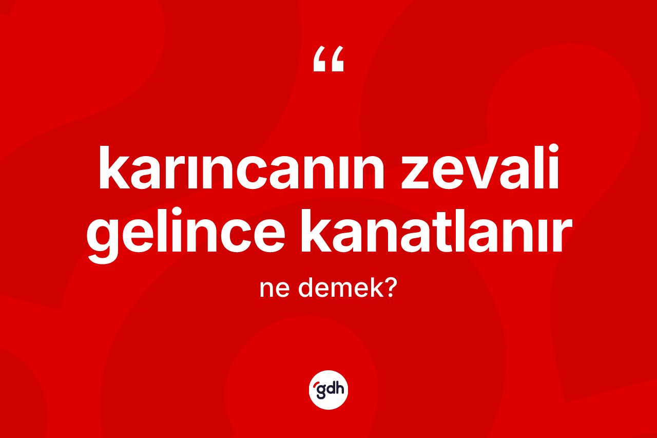 Karıncanın zevali gelince kanatlanır sözü nedir? Karıncanın zevali gelince kanatlanır ifadesi hangi durumlarda kullanılır