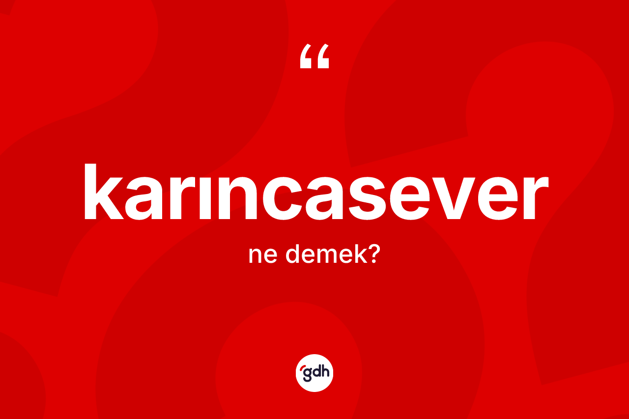 Karıncasever ne anlama gelir? Karıncasever kelimesinin TDK'ya göre açıklaması nedir?