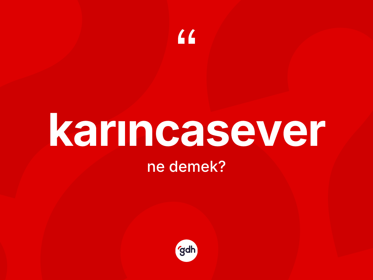 Karıncasever ne anlama gelir? Karıncasever kelimesinin TDK'ya göre açıklaması nedir?