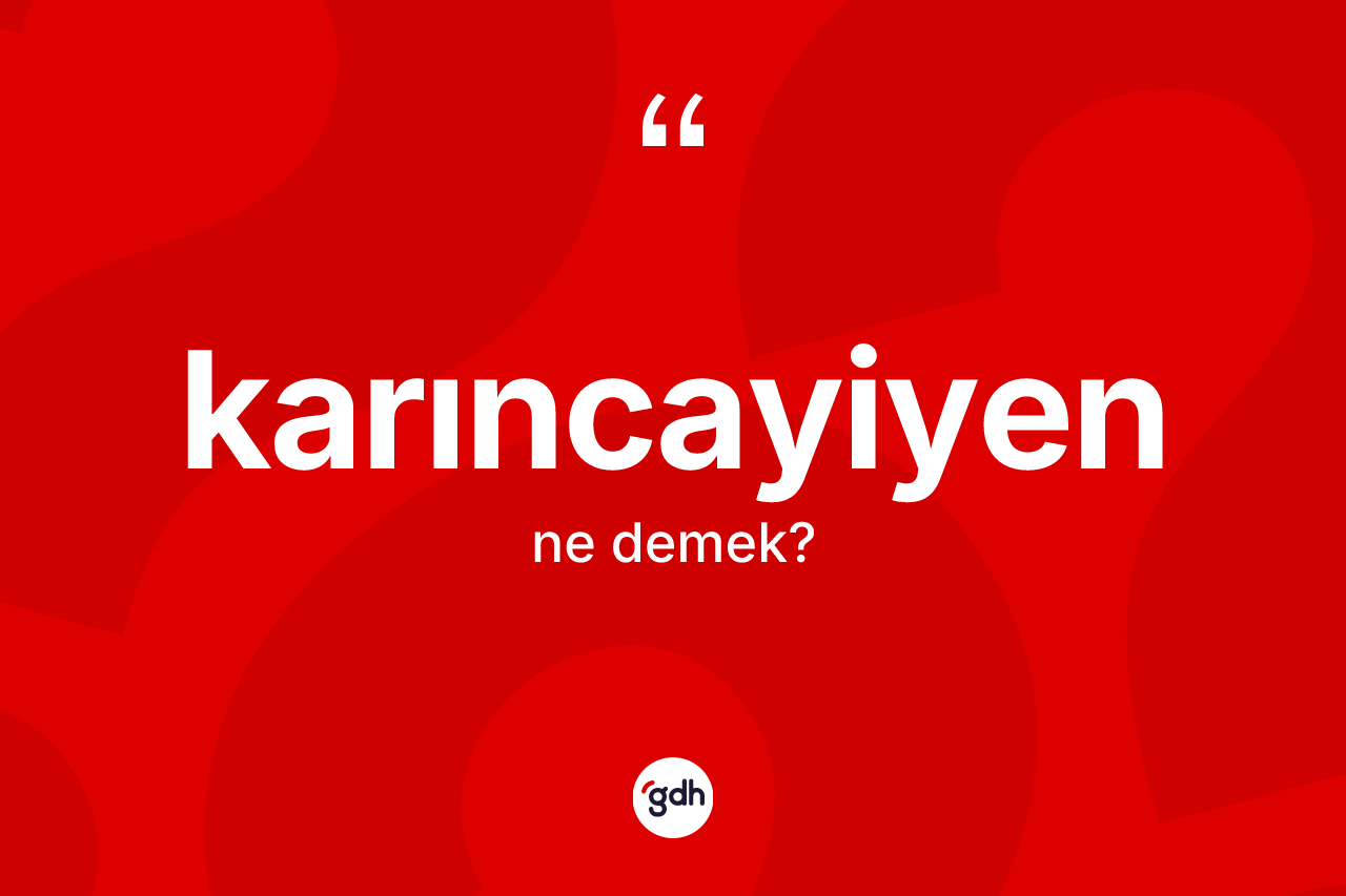 Karıncayiyen kelimesinin tanımı nedir? Karıncayiyenin halk arasındaki kullanımı nasıldır?
