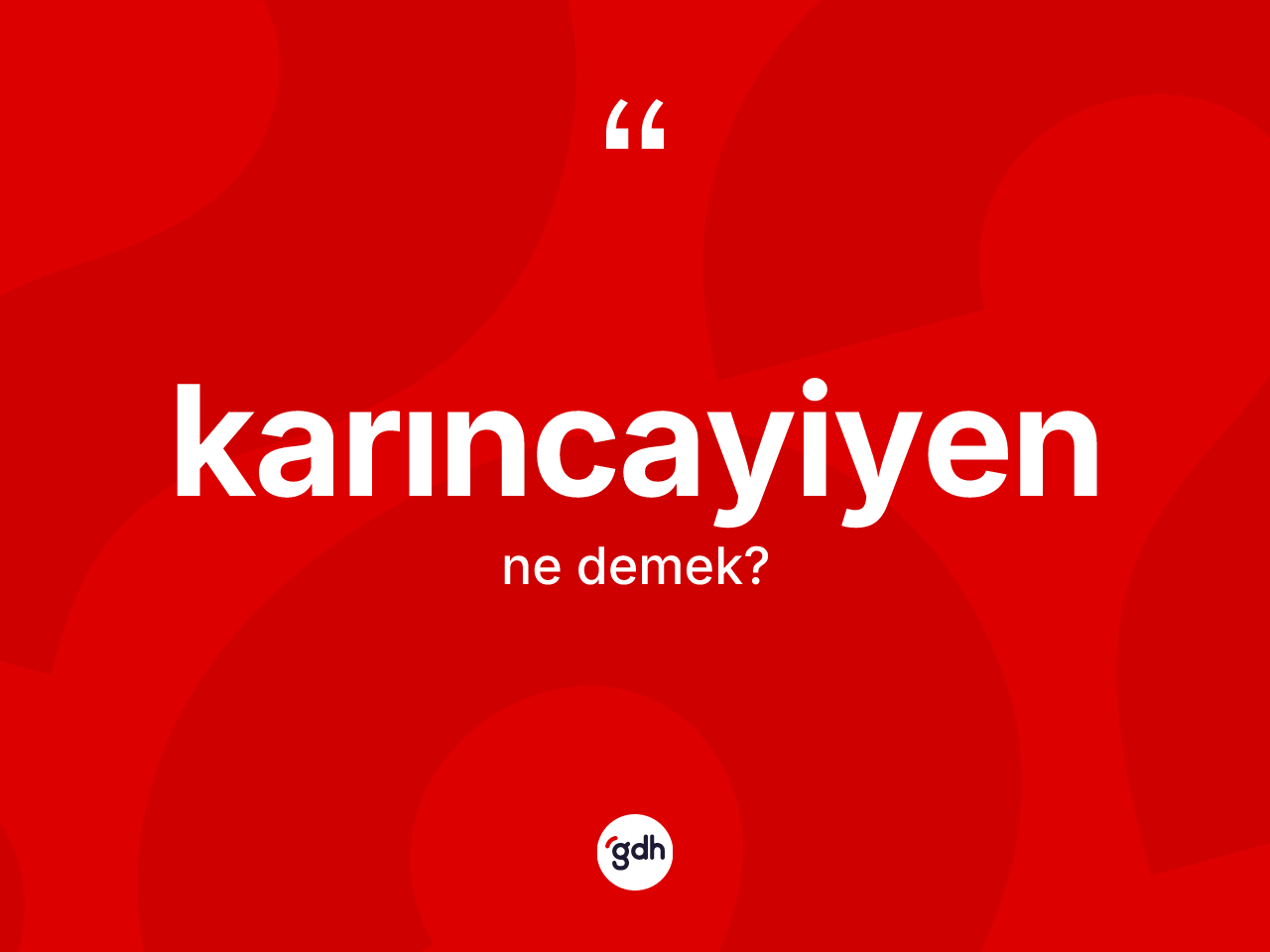 Karıncayiyen kelimesinin tanımı nedir? Karıncayiyenin halk arasındaki kullanımı nasıldır?