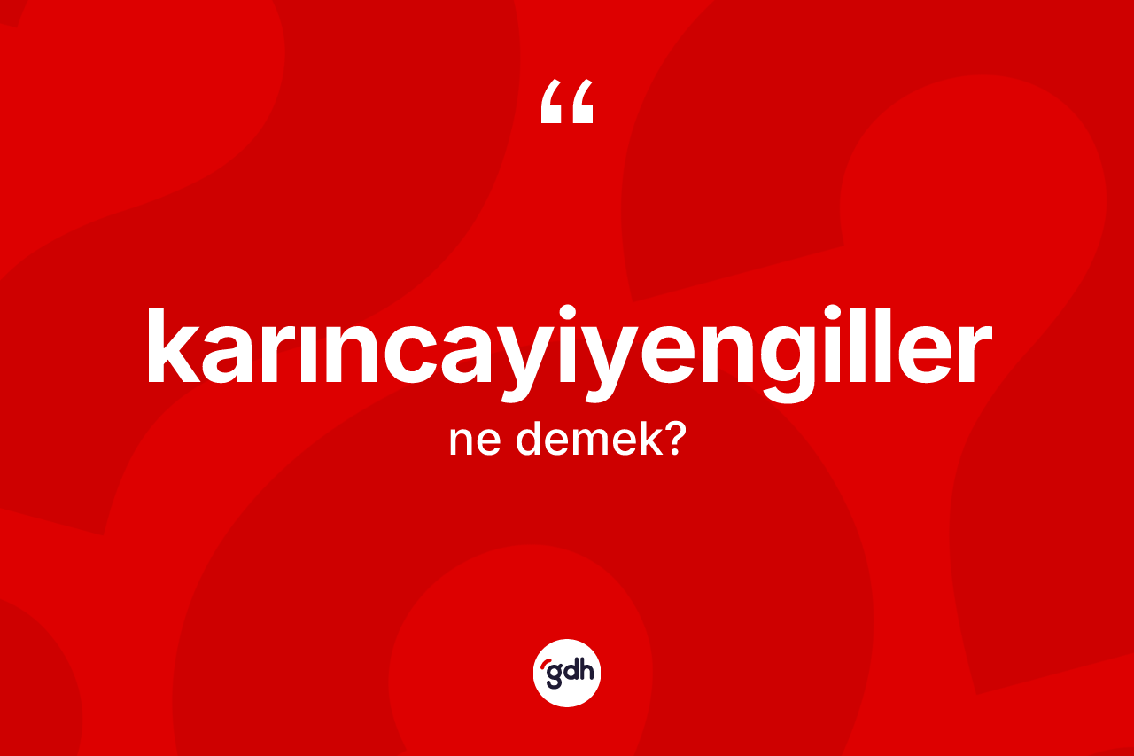 Karıncayiyengiller kelimesi ne demek? Karıncayiyengillerin sözlükteki anlamı nedir?