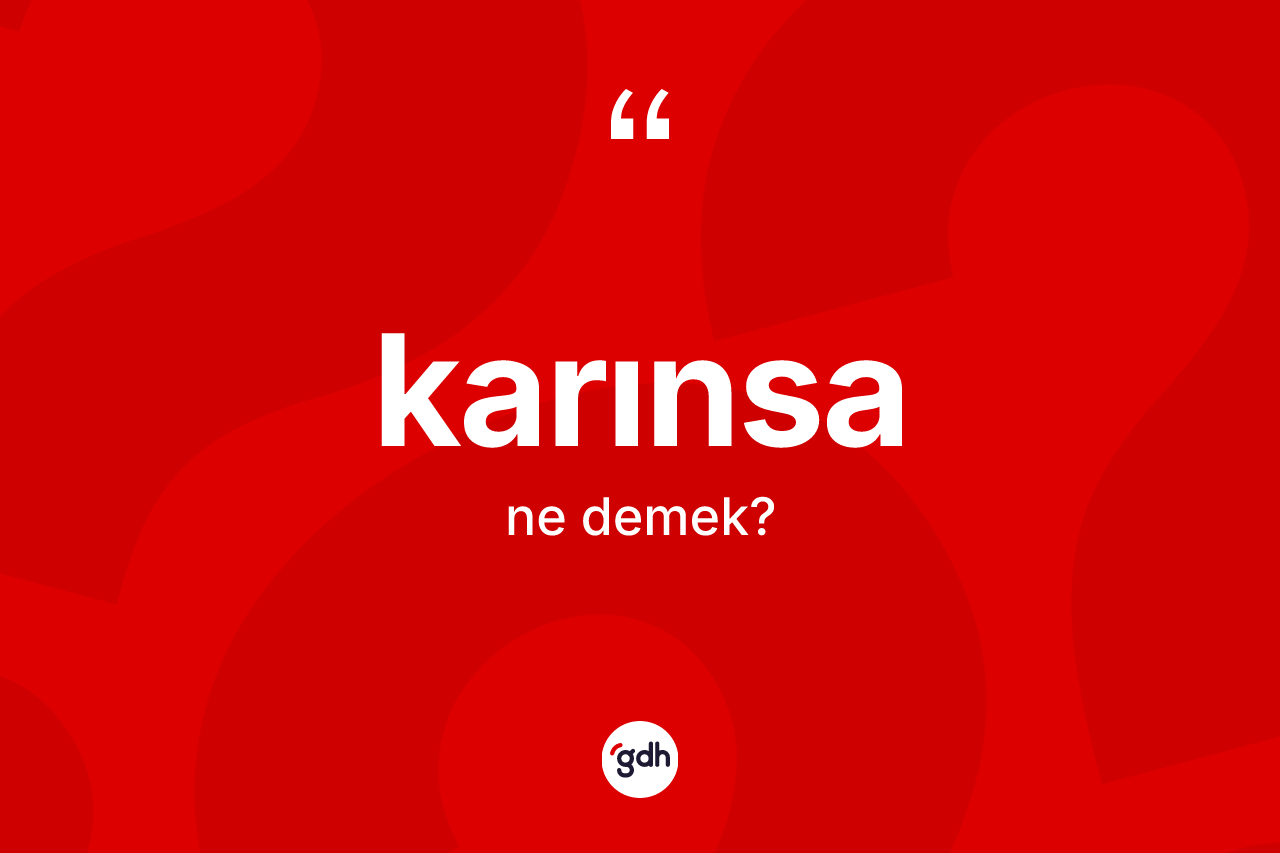 Karınsa kelimesinin sözlükteki tanımı nedir? Karınsanın TDK'ya göre anlamı nedir?