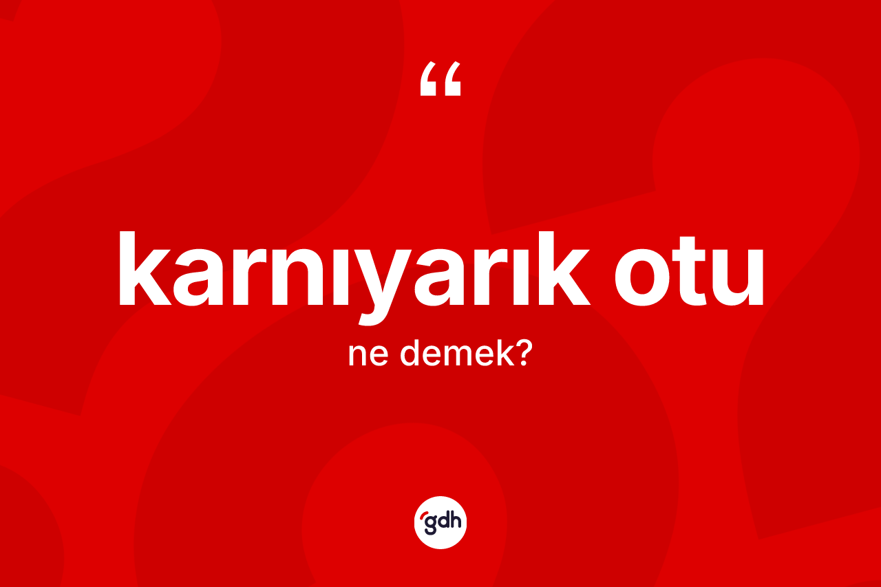 Karnıyarık otu  kelimesi ne anlama gelir? Karnıyarık otu un kısaca tanımı nedir?