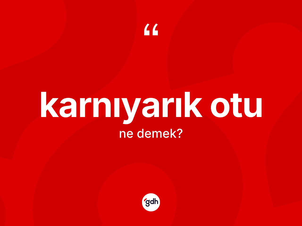 Karnıyarık otu  kelimesi ne anlama gelir? Karnıyarık otu un kısaca tanımı nedir?