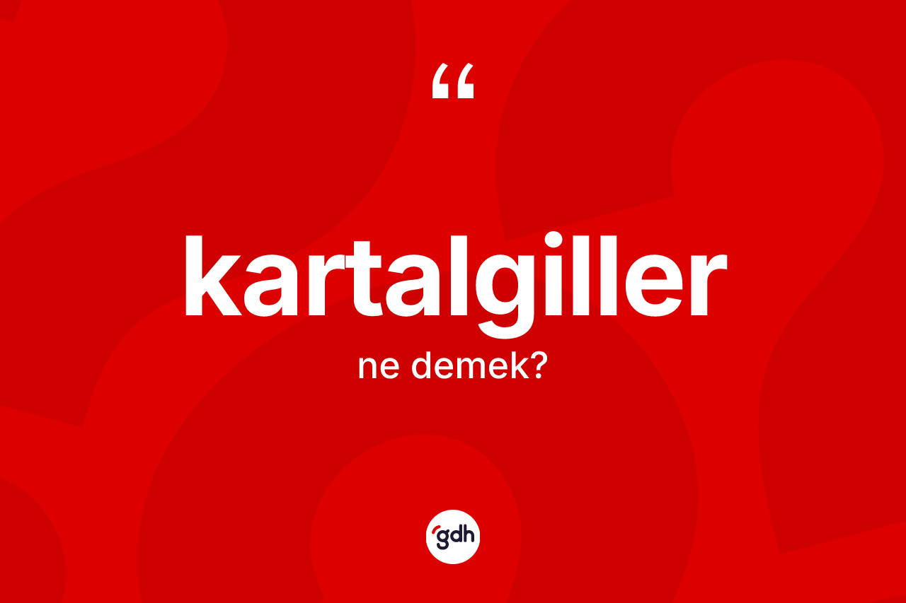 Kartalgiller kelimesinin sözlükteki tanımı nedir? Kartalgillerin kısaca tanımı nedir?