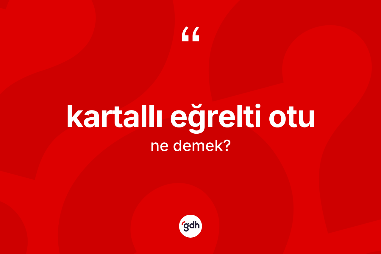 Kartallı eğrelti otu kelimesinin sözlükteki tanımı nedir?