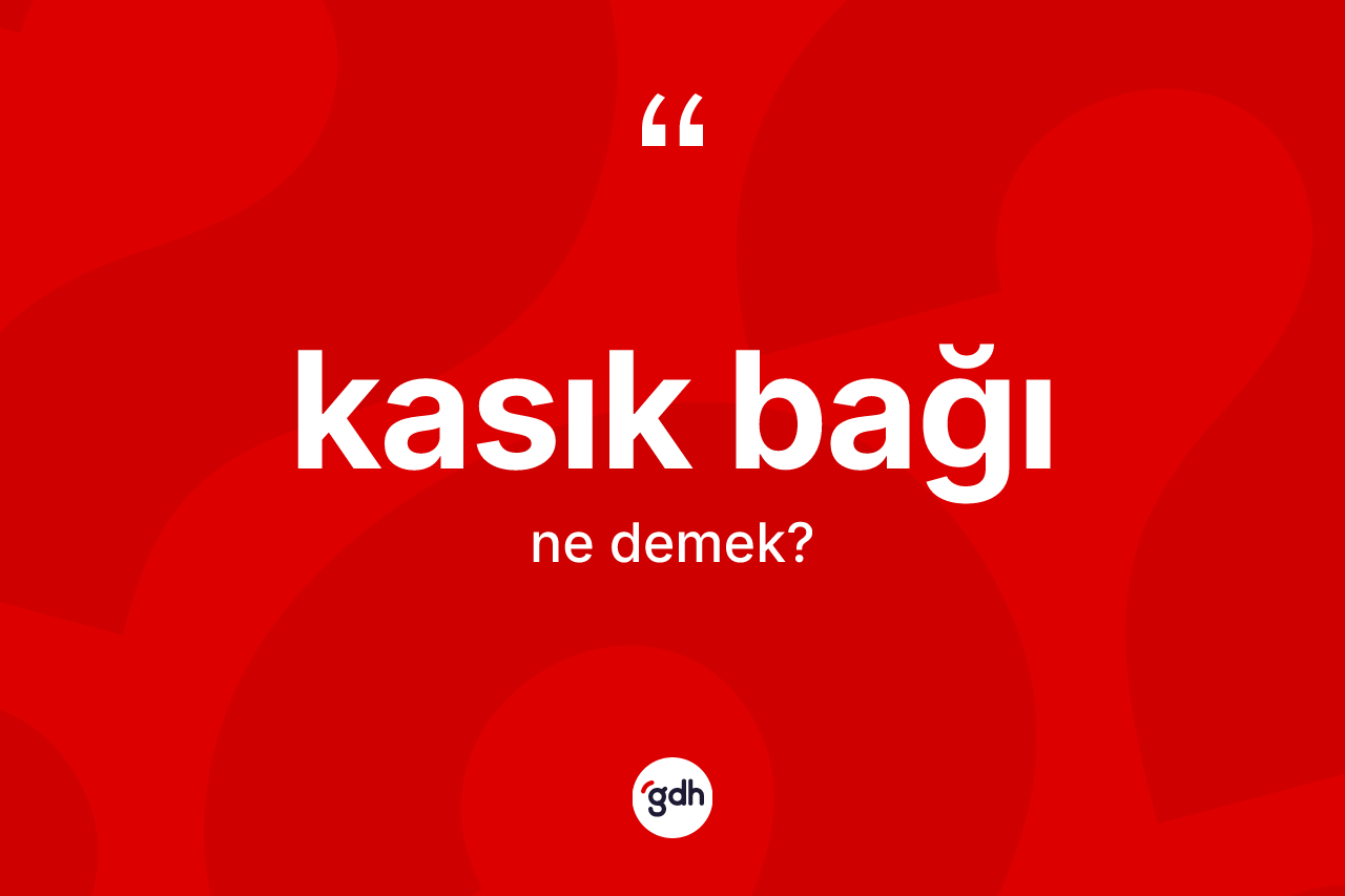 Kasık bağı kelimesi ne demek? Kasık bağı kelimesinin TDK'ya göre açıklaması nedir?