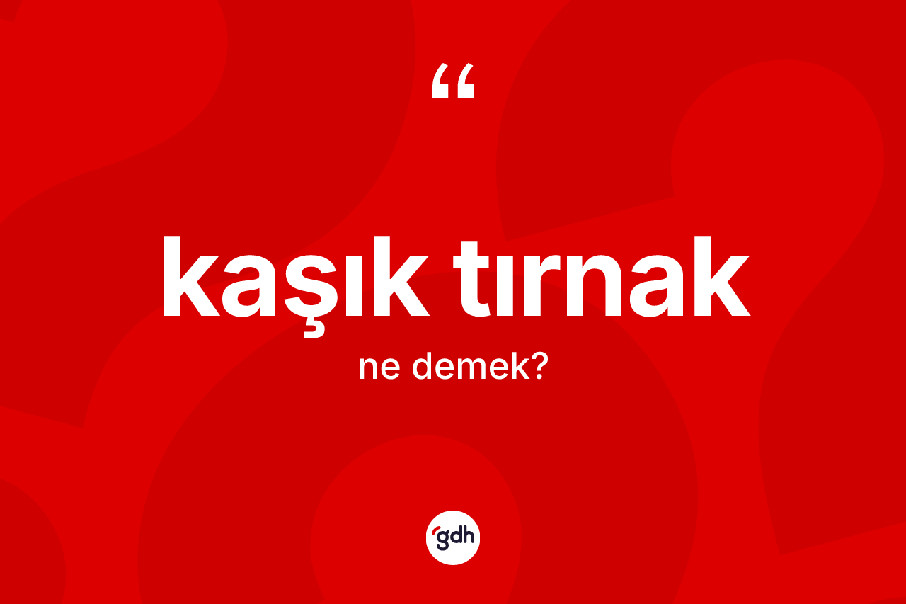 Kaşık tırnak kelimesinin sözlükteki tanımı nedir? Kaşık tırnak kelimesinin TDK'ya göre açıklaması nedir?