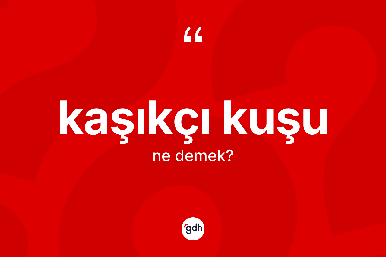 Kaşıkçı kuşu kelimesinin anlamı nedir? Kaşıkçı kuşunun TDK'ya göre anlamı nedir?