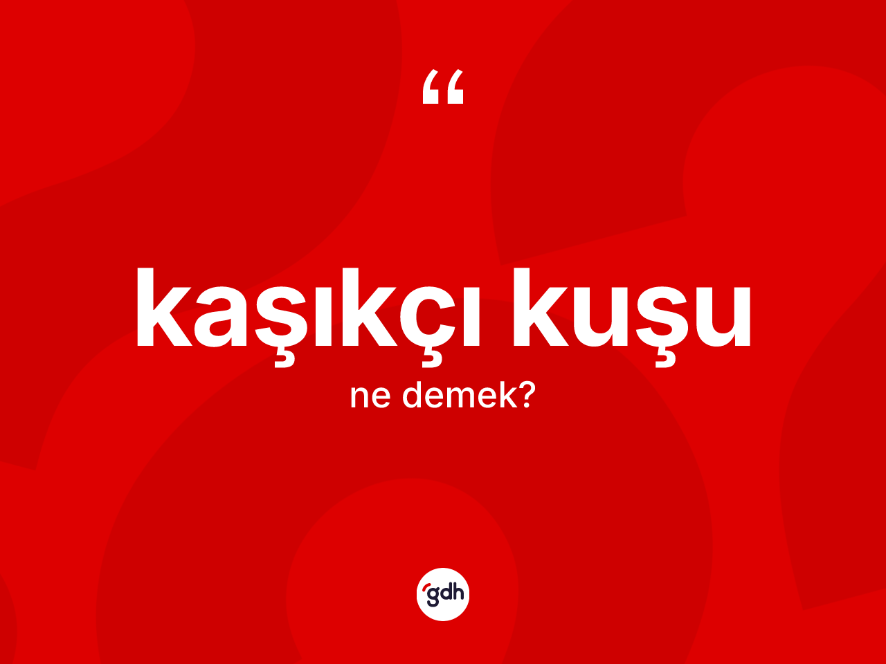Kaşıkçı kuşu kelimesinin anlamı nedir? Kaşıkçı kuşunun TDK'ya göre anlamı nedir?