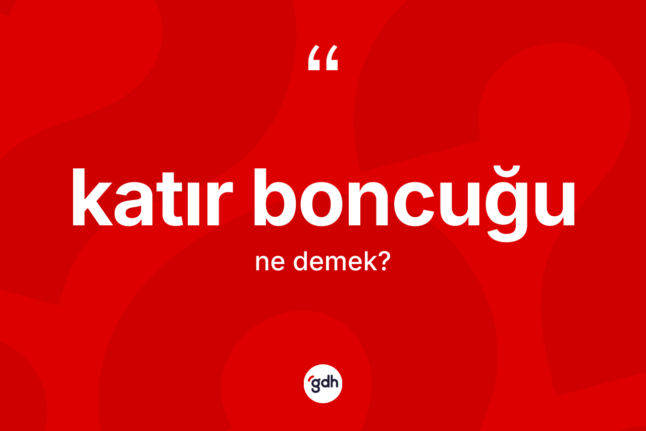 Katır boncuğu kelimesinin tanımı nedir?