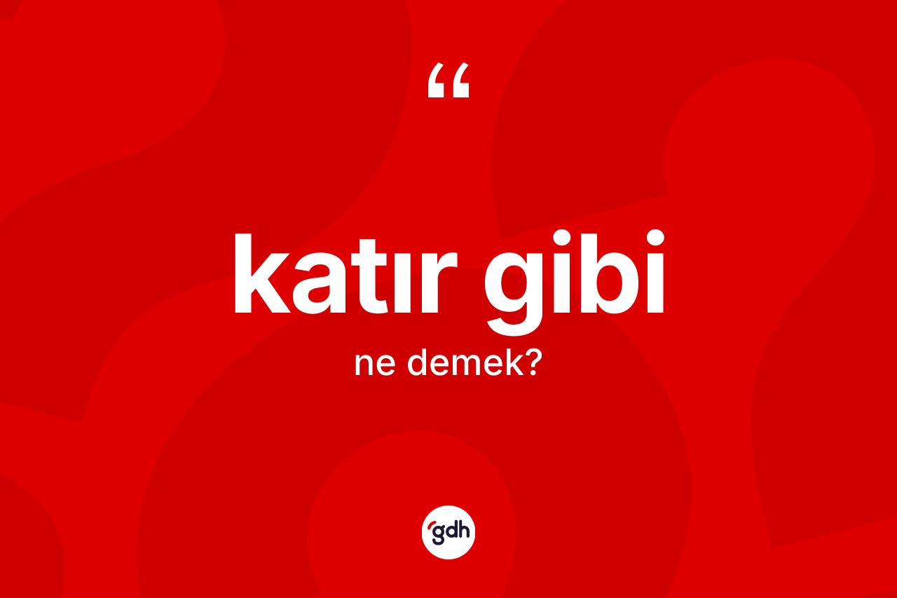 Katır gibi sözü neyi anlatır?