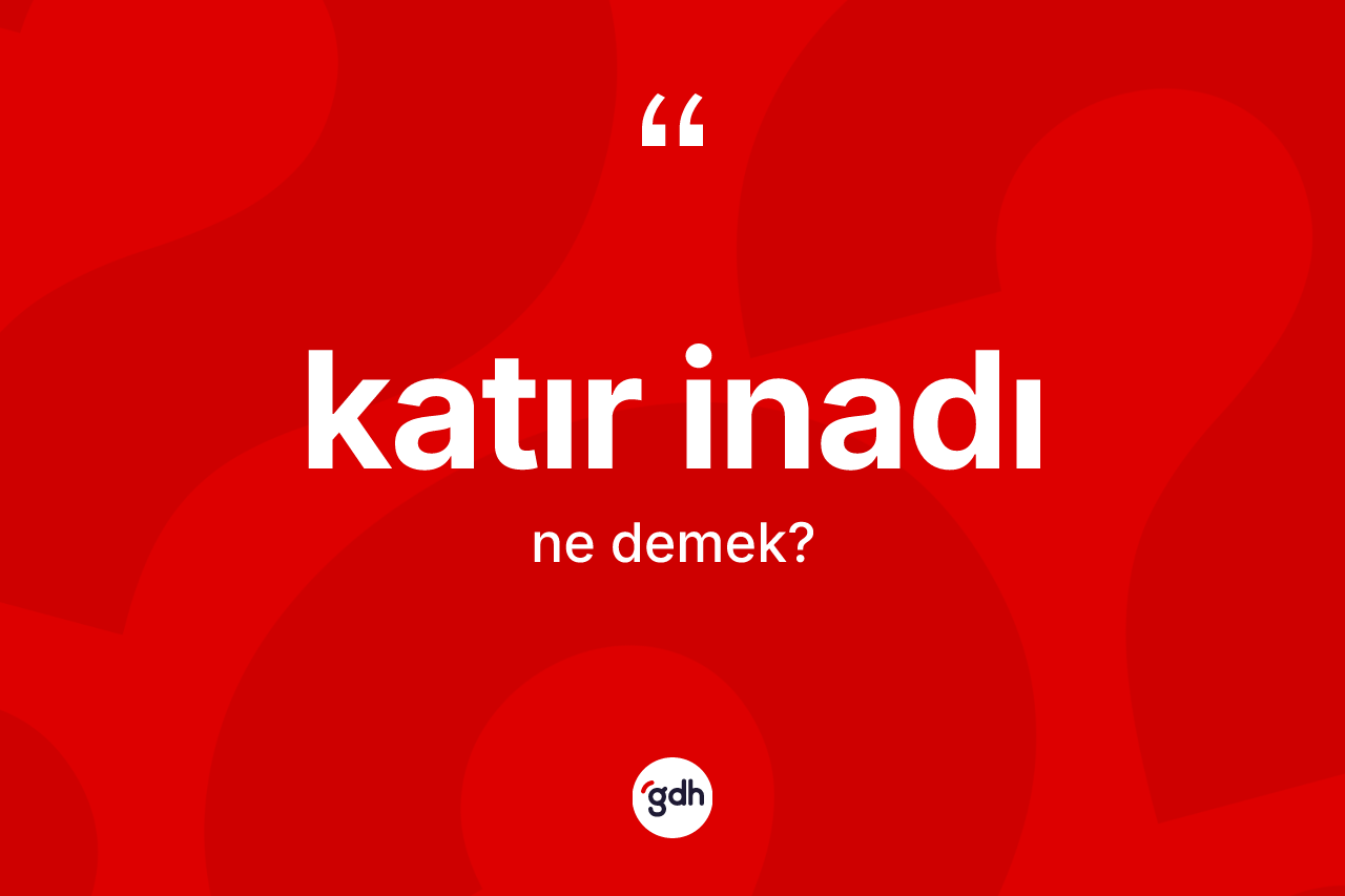 Katır inadı kelimesi nedir? Katır inadının TDK'ya göre anlamı nedir?