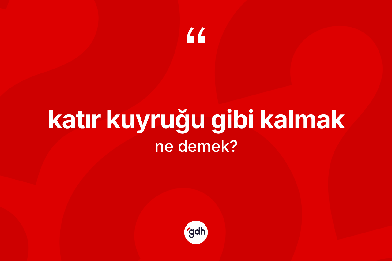 Katır kuyruğu gibi kalmak ifadesinin anlamı nedir? Katır kuyruğu gibi kalmak ifadesi hangi durumlarda kullanılır