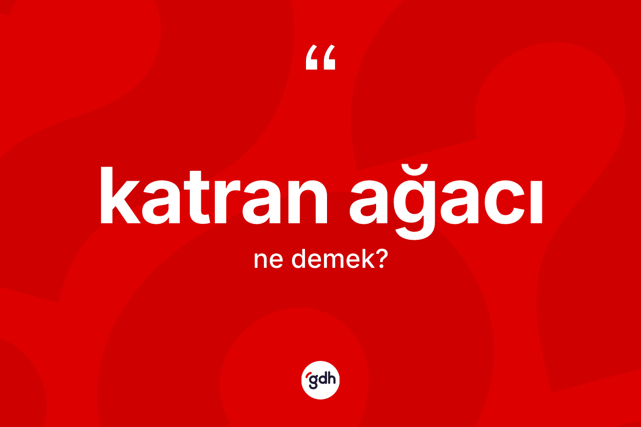 Katran ağacı kelimesinin sözlükteki tanımı nedir? Katran ağacı kelimesinin TDK anlamı nedir?