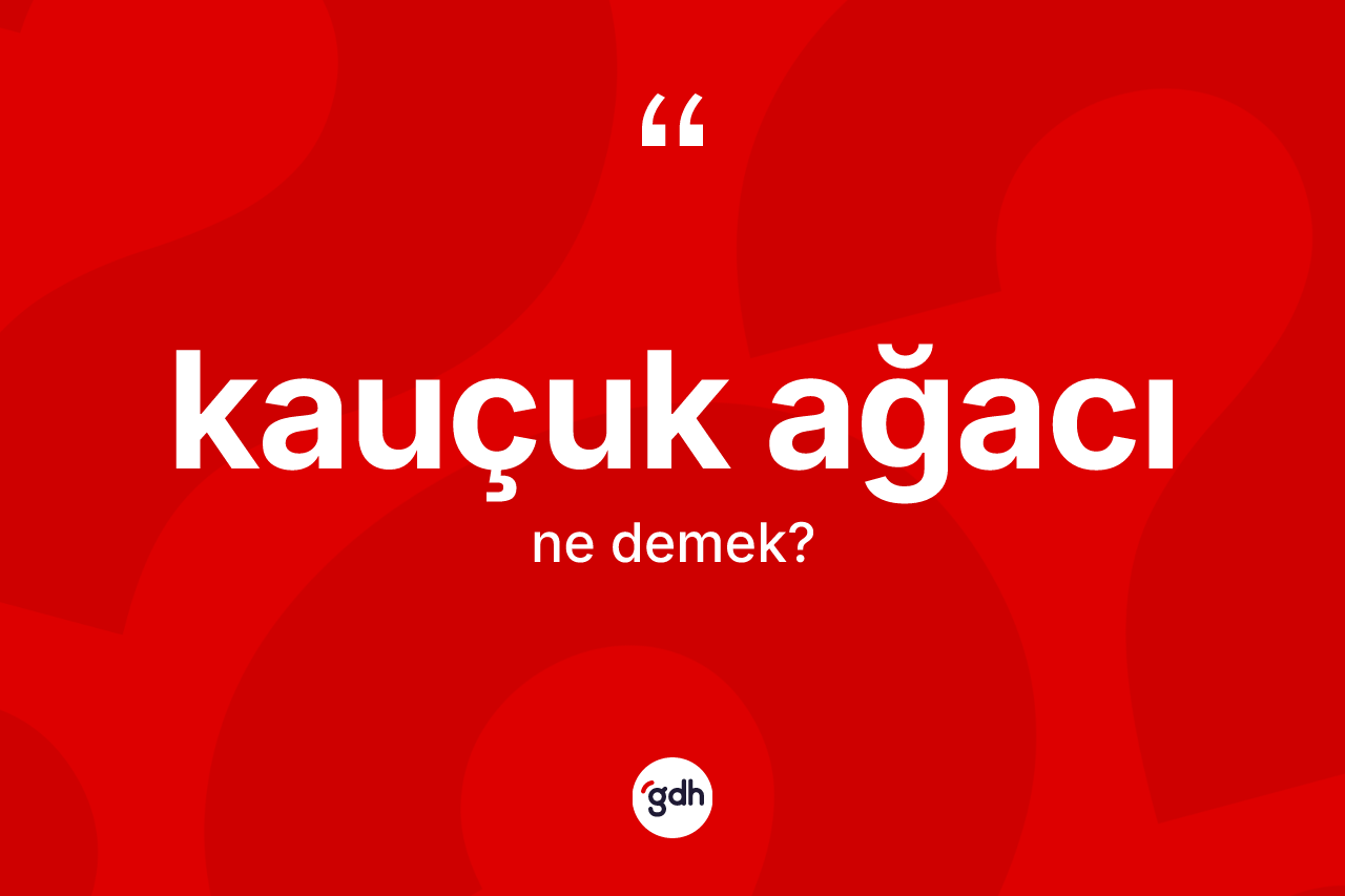 Kauçuk ağacı kelimesi ne anlama gelir? Kauçuk ağacının TDK'ya göre anlamı nedir?